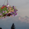 20120623_245